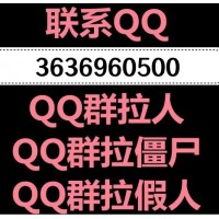 我来教教大家qq群拉僵尸粉,q群拉僵尸粉