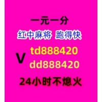 终于找到红中麻将群跑的快群上下分1元1分