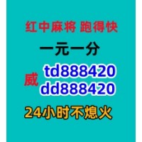 可以提现的红中麻将群跑的快群正规1元1分