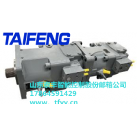 山东泰丰品牌TFA11VSO260+TFA7VSO160高压高速柱塞泵的供应