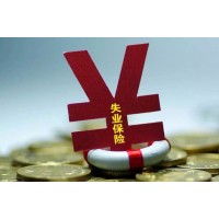 肇庆人力资源公司，肇庆社保外包公司，肇庆社保办理公司