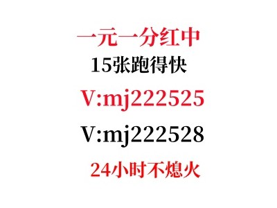 最新分享一元一分正规红中麻将微信群2024/已更