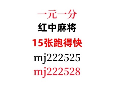 重大揭秘正规谁有麻将群一元一分红中麻将