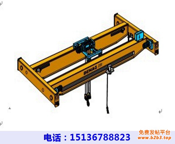 双梁行吊厂家(18)