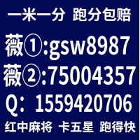 好玩必看免押金的一元一分红中麻将群