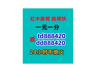 谁有一元群正规红中麻将群2024已更新