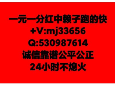 谁有一元一分跑得快微信群心的党专业快速