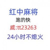 （盘点十款）24小时一元红中麻将@2023（哔哩/小红书）