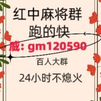 《重大新闻》广东红中麻将群（2024已更新）
