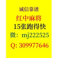 推荐24小时红中麻将群不用押金