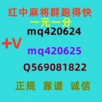 凤毛麟角哪里有24小时一元麻将群今日/知乎