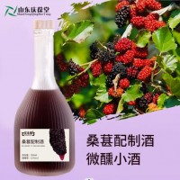 百未草桑葚配制酒低度微醺甜酒OEM贴牌实力厂家代加工