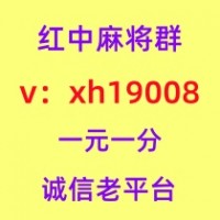 炼气红中麻将群24小时不熄火哔哩微博