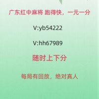 靠谱2人4人红中麻将一元一分  崇拜