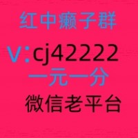 这里有1块1分红中麻将群,跑得快群赛事正演绎