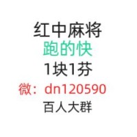 必看红中麻将群如何加入1元1分