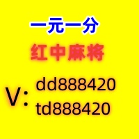 教大家一元一分红中麻将群,跑得快群发奋图强