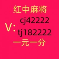 红中麻将群想打1元1分