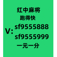 广东一元一分红中麻将群