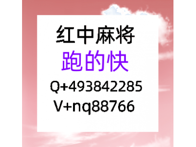 时下最流行加人24小时一块一分红中麻将微信群