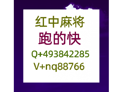 最火的红中麻将24小时1元1分红中麻将微信群