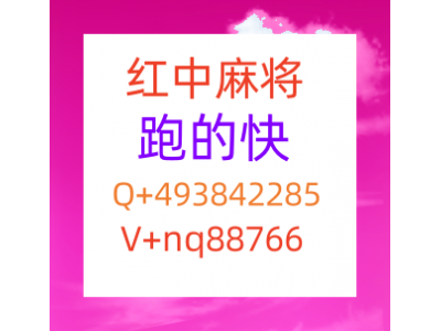 今日爆料千人老平台麻将群-红中麻将群1-2块1分