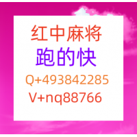 给大家科普一下正规红中24小时一元麻将热点信息