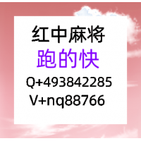 时下最流行盘点十大24小时1分1-2块红中麻将微信群