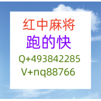 常识科普有哪些加人一分一块24小时在线红中麻将群