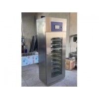 干燥柜304不锈钢恒温大容量医用干燥柜 300L