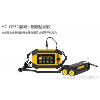 远程数据传输混凝土钢筋检测仪HC-GY31