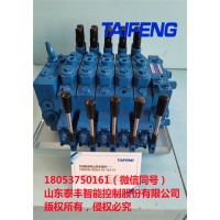 TRM20-BX-02-JX-01多路阀泰丰液压厂家加工定制