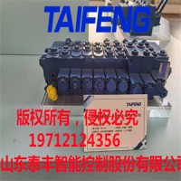 泰丰TRM20E-BSE12-04-XKJX-01多路阀微型挖机适用