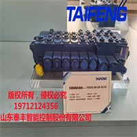 泰丰供应TRM15-BXG24-09-SKZG-01多路阀凿岩设备钻机