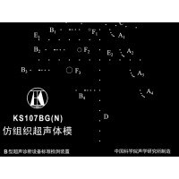 KS107BG（N） 型 超声诊断仪检测用标准超声体模