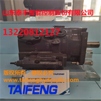 泰丰TFA7VO160LR/10-LRB2柱塞泵