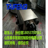 TCF1-H100C充液阀泰丰生产厂家供应