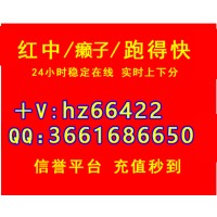 十年老平台一元一分红中癞子中码嘛酱跑的快群（今日头条）