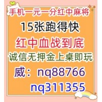 盘点一下秘闻24小时一元一分红中麻将微信群