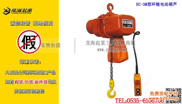 EC-3M型环链电动葫芦大图模板进口