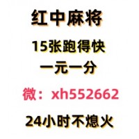 玩法介绍24小时正规1元1分（红中麻将）群2024更新