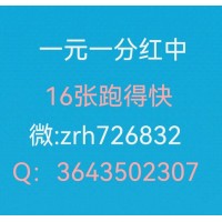 （最好的）红中麻将千人大群24小时1分1**2元上下分红中麻将群跑的快群