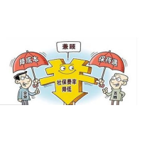 广州社保公司正规代缴，广州职工社保代买，广州人事代理服务