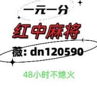 【无限流】正规靠谱红中麻将群2024已更新