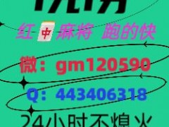 《天涯论坛》广东红中麻将跑的快群（2024/已更）
