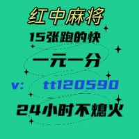 (重*现)一元一分红中麻将@2024(哔哩/哔哩)