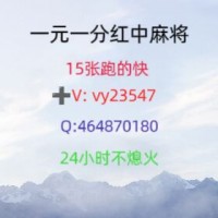 银烛秋光一元正规红中麻将哔哩/哔哩