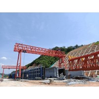 广东梅州10吨龙门吊产品用途