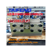 泰丰供应YT32-500CV-SB二通插装阀天津双泵500T系统