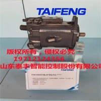 泰丰智能TFA15VSO145LR/10-LRB2工程机械挖机钻机液压泵